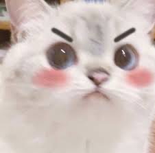 andreatobon.co (@andreatobon.co) is LIVE - TikTok LIVE